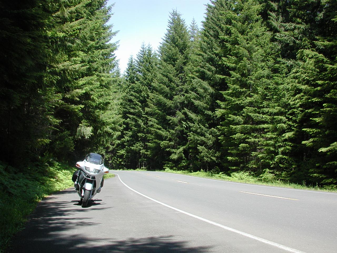 Forest Road 25 between Randle and Spirit Lake (Mt. St. Helens) turn off