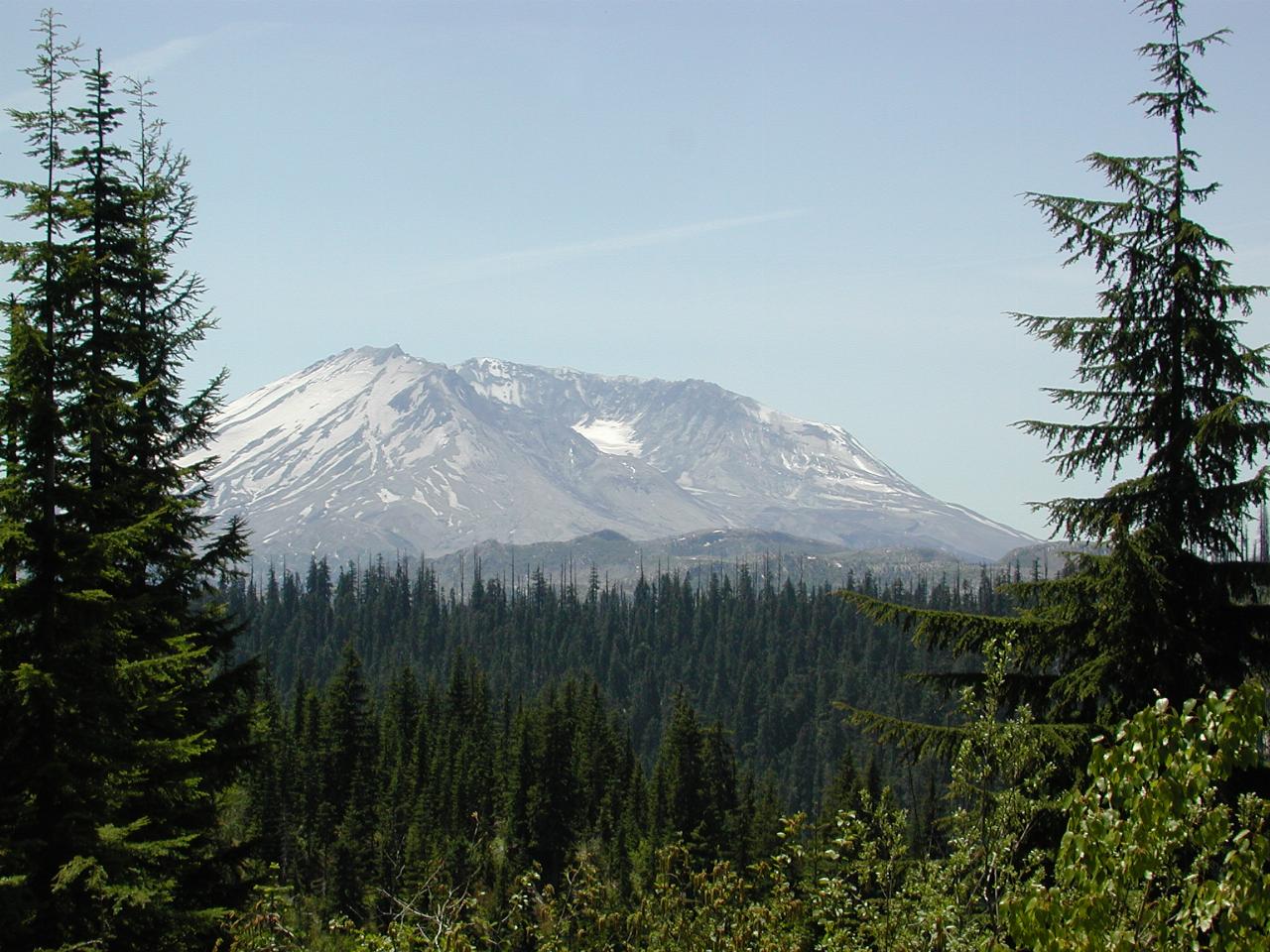 Bear Meadow, Gifford Pinchot National Forest, looking to MSH (first viewpoint in forest)