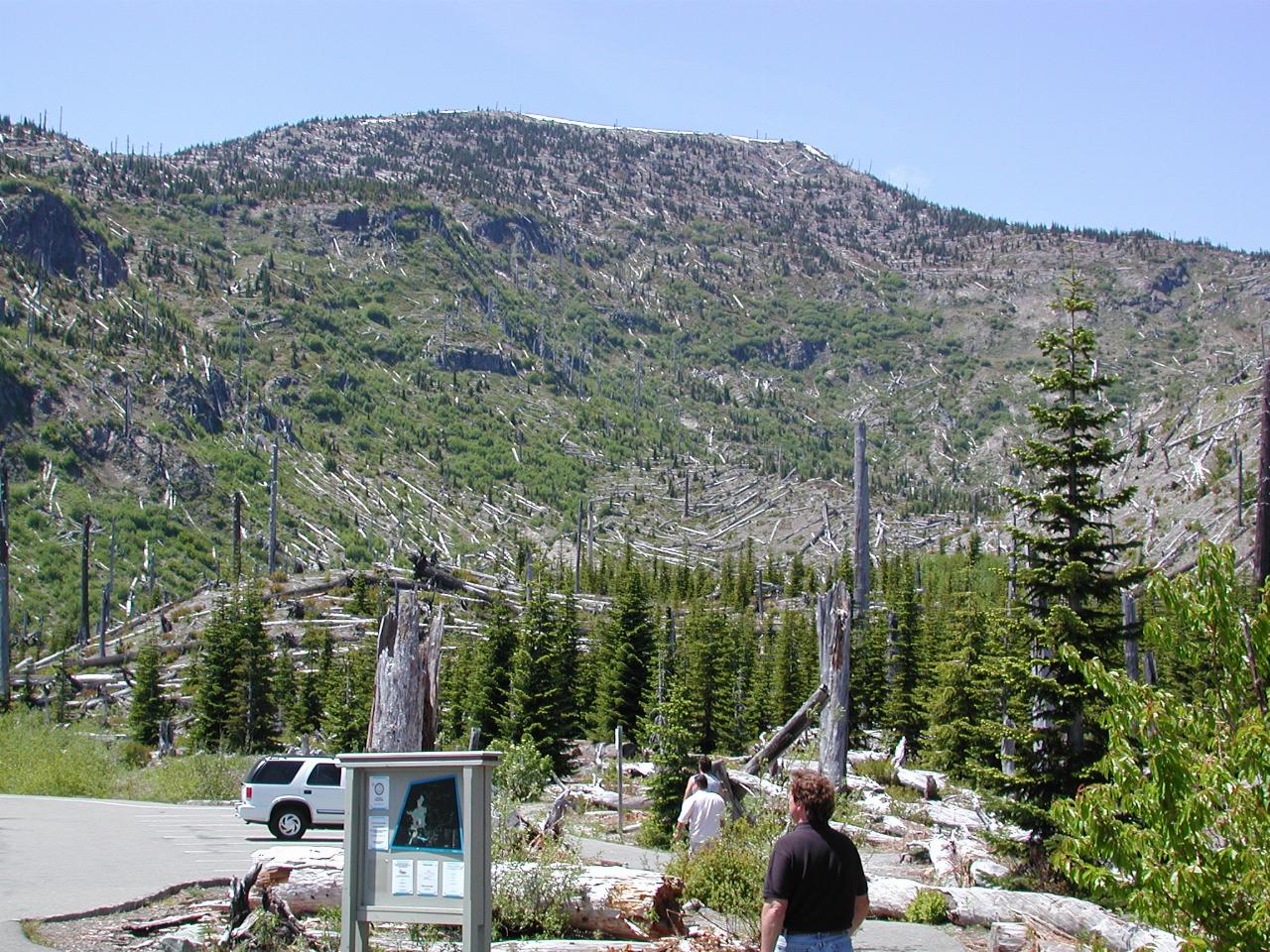 Overlooking Meta Lake, showing more fallen logs