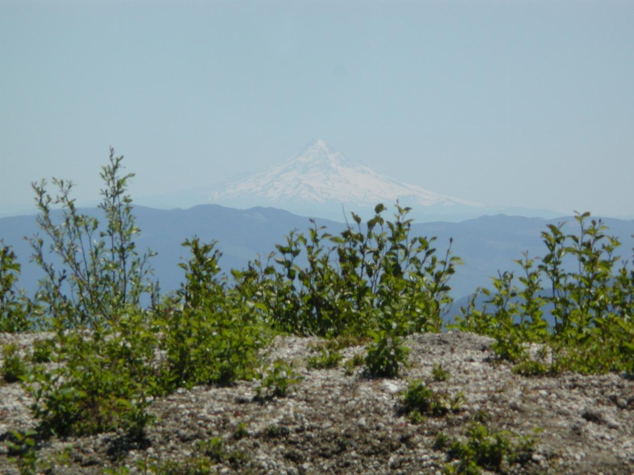 Mt. Hood, Oregon, from 'Harmony' view point at Spirit Lake