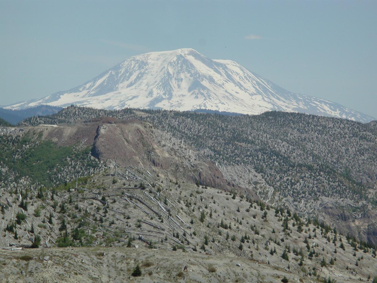 Mt. Adams (looking East) from Cedar Creek