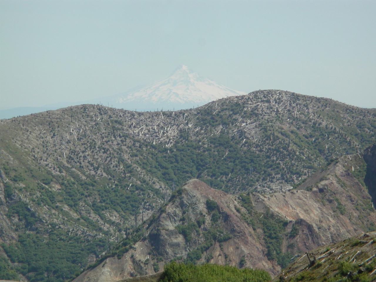 Mt. Hood, Oregon, as seen from Spirit Ridge