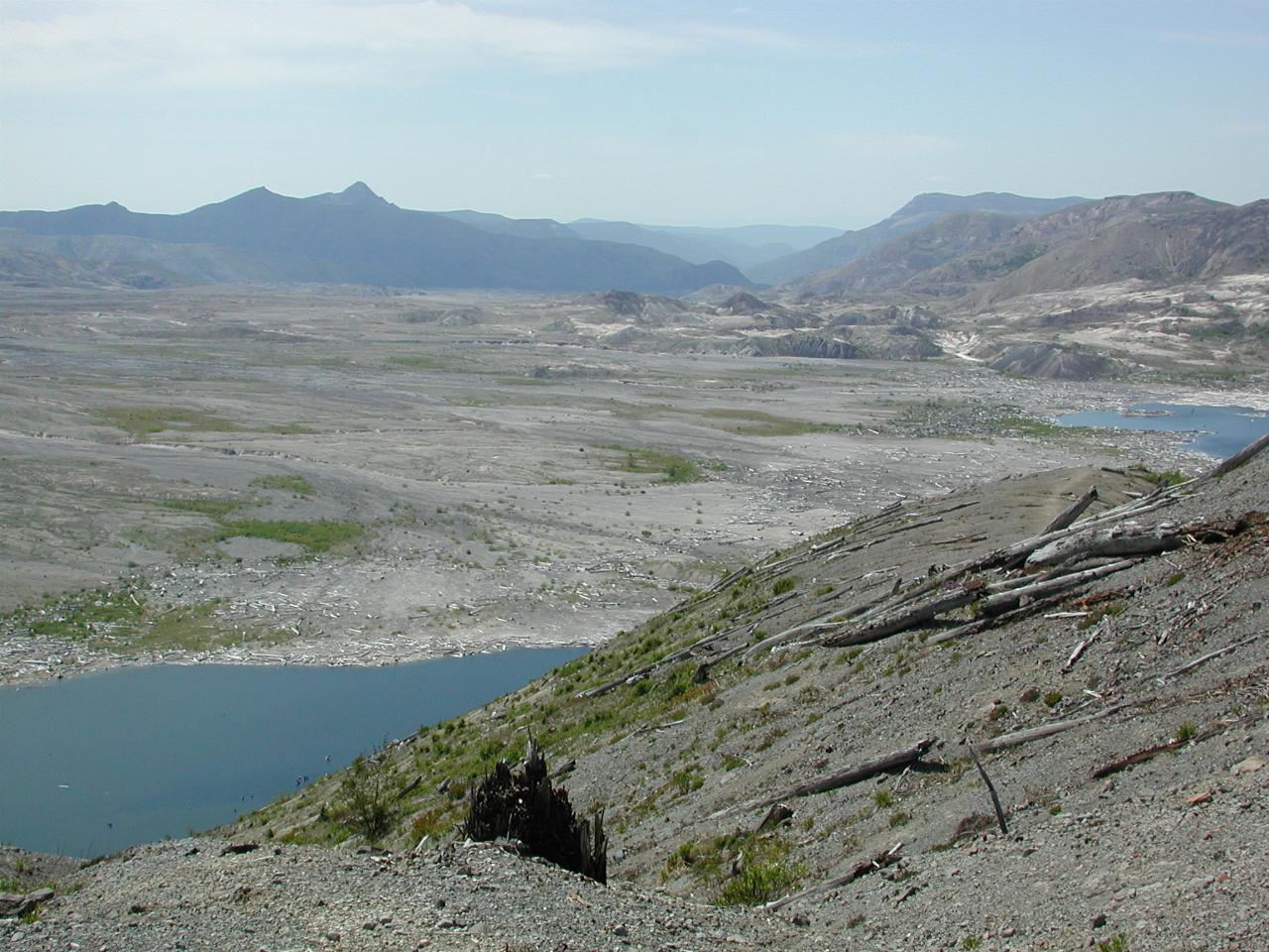 From Windy Ridge, looking west down North Fork Toutle River valley