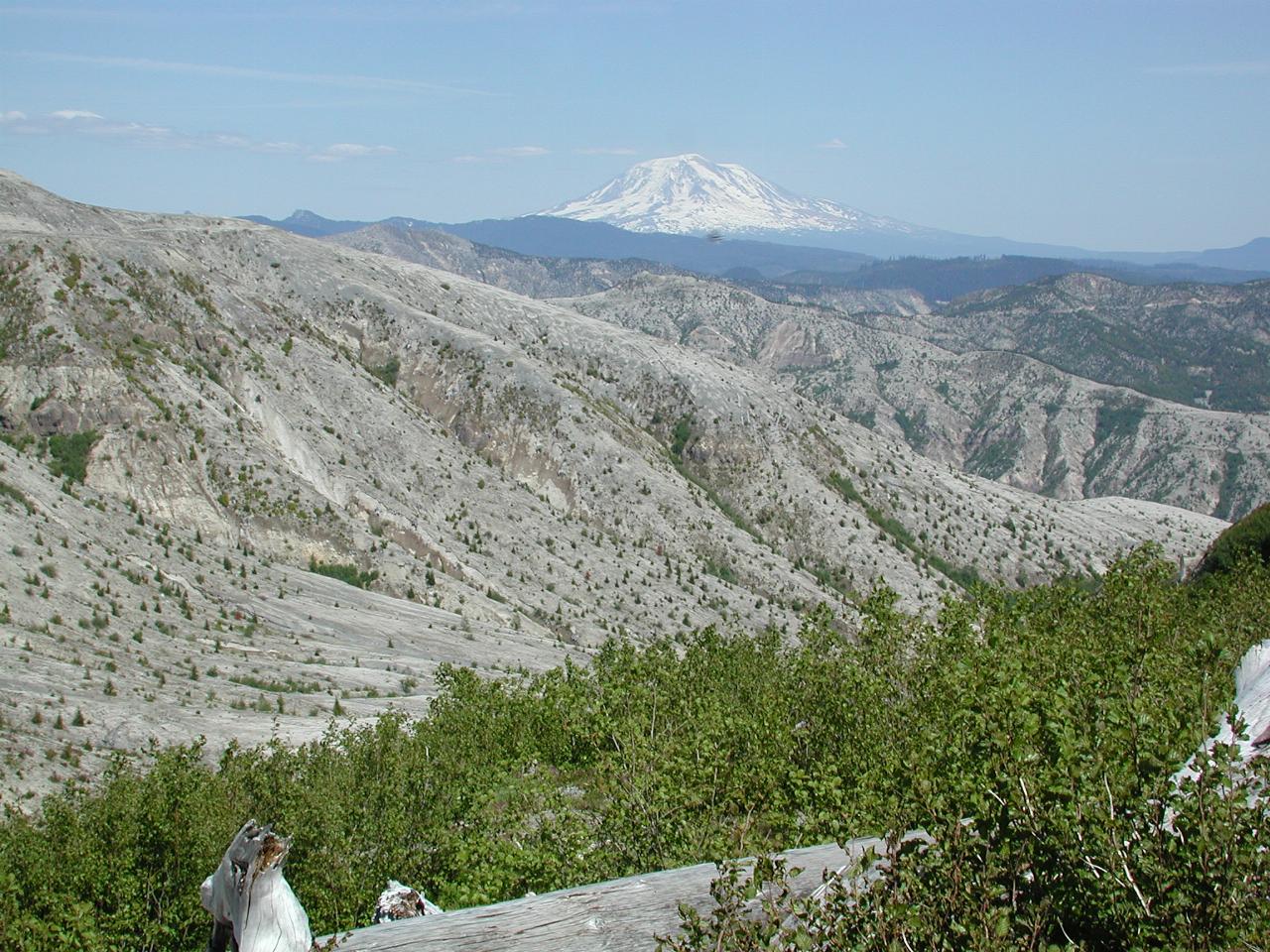 Mt. Adams, from Windy Ridge parking lot, showing blast zone barren conditions