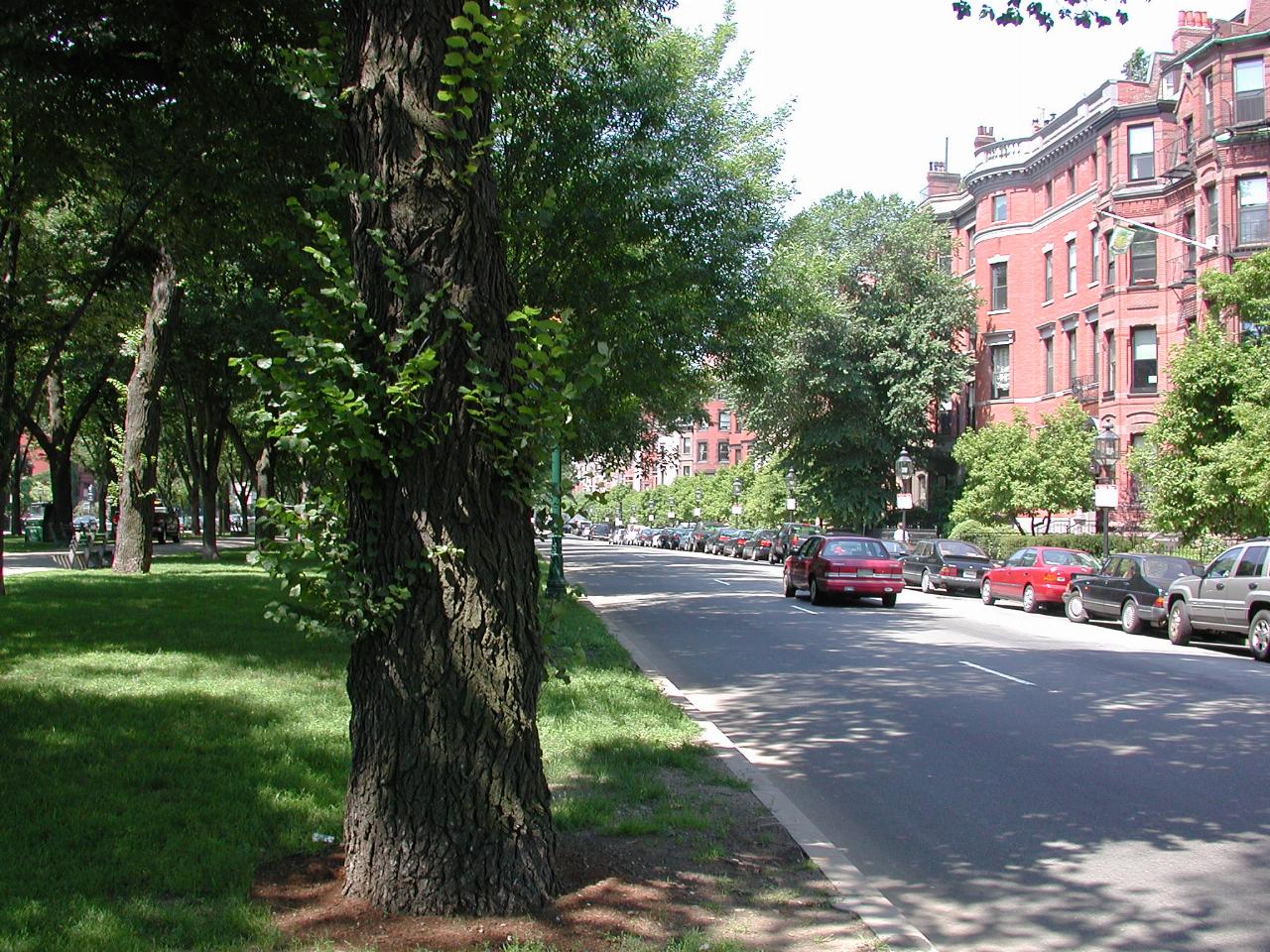 Commonwealth Ave, Boston MA