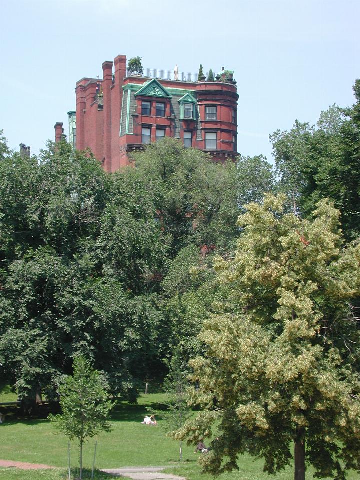 Interesting roof garden, viewed from Boston Common