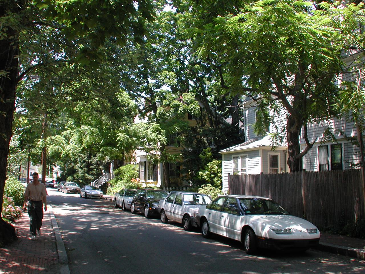 Typical residential street, near Harvard