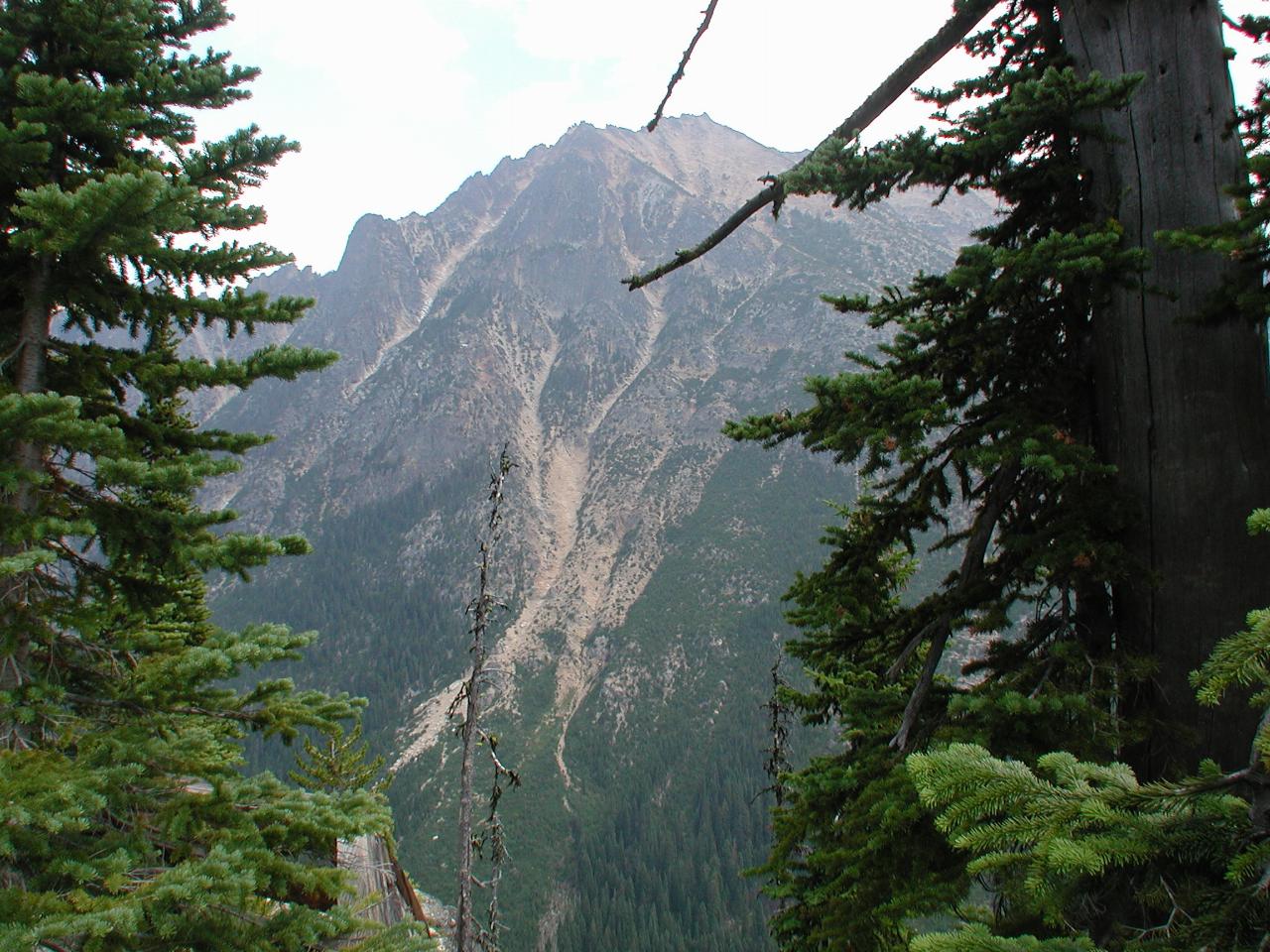 View across valley to steep hillside with trees and rocks