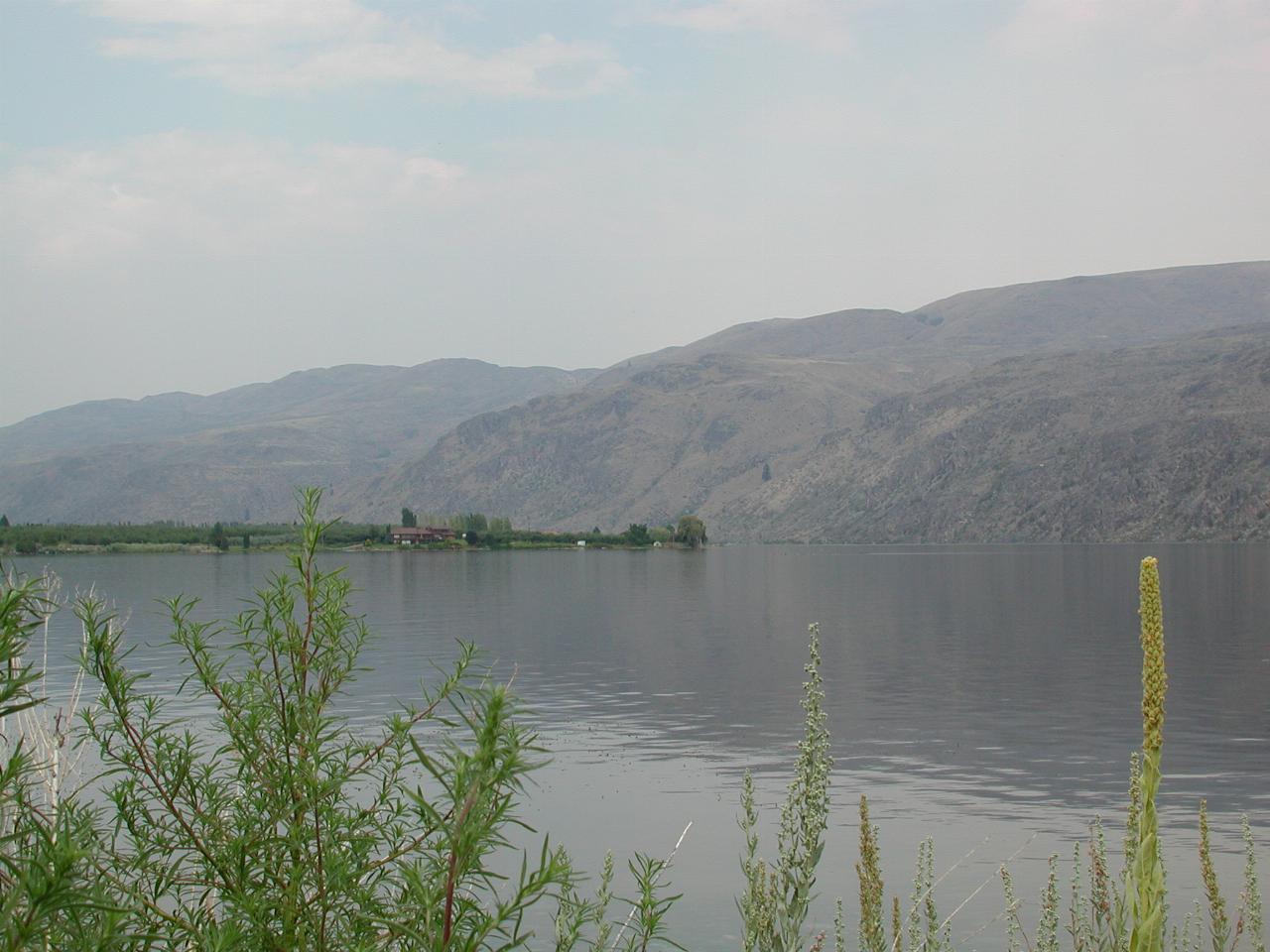 Lush vegetation amid arid hills