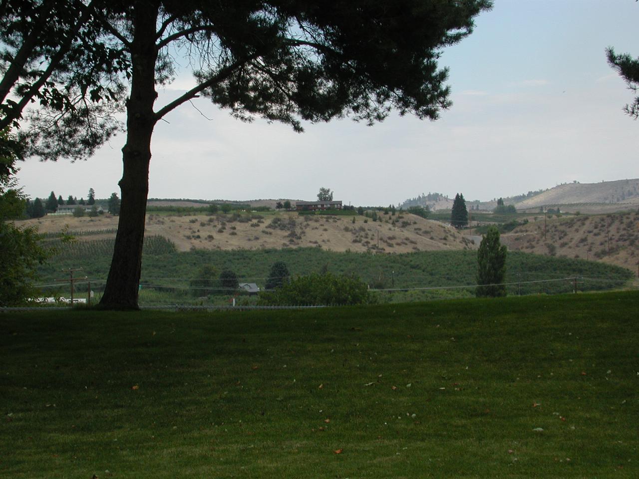 View showing lush irrigated land and arid 