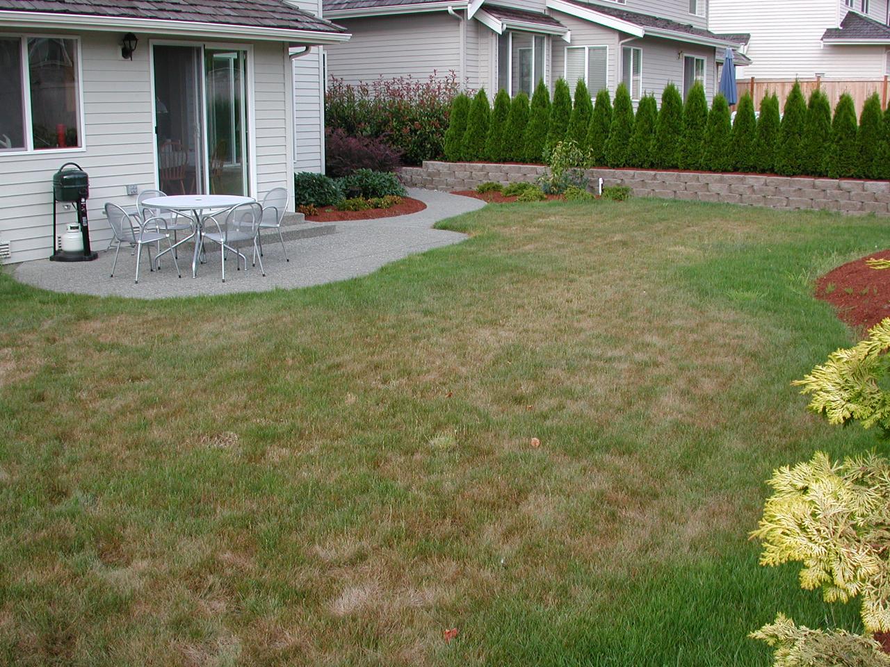 Back yard, showing dormant (and brown) grass