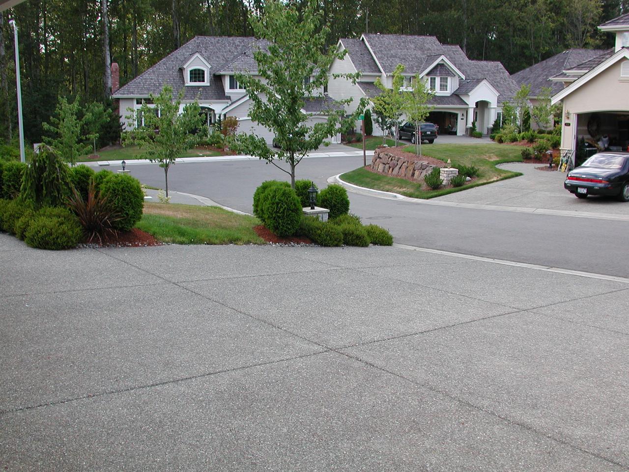 More brown lawn in my front yard, and also the green near the garden (which is being watered)