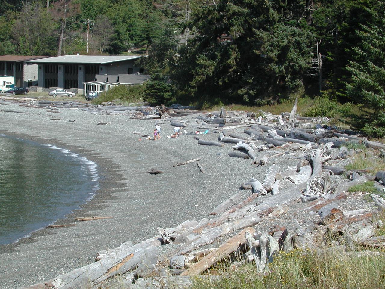 Logs on beach at Rosario Park, Fidalgo Island, WA