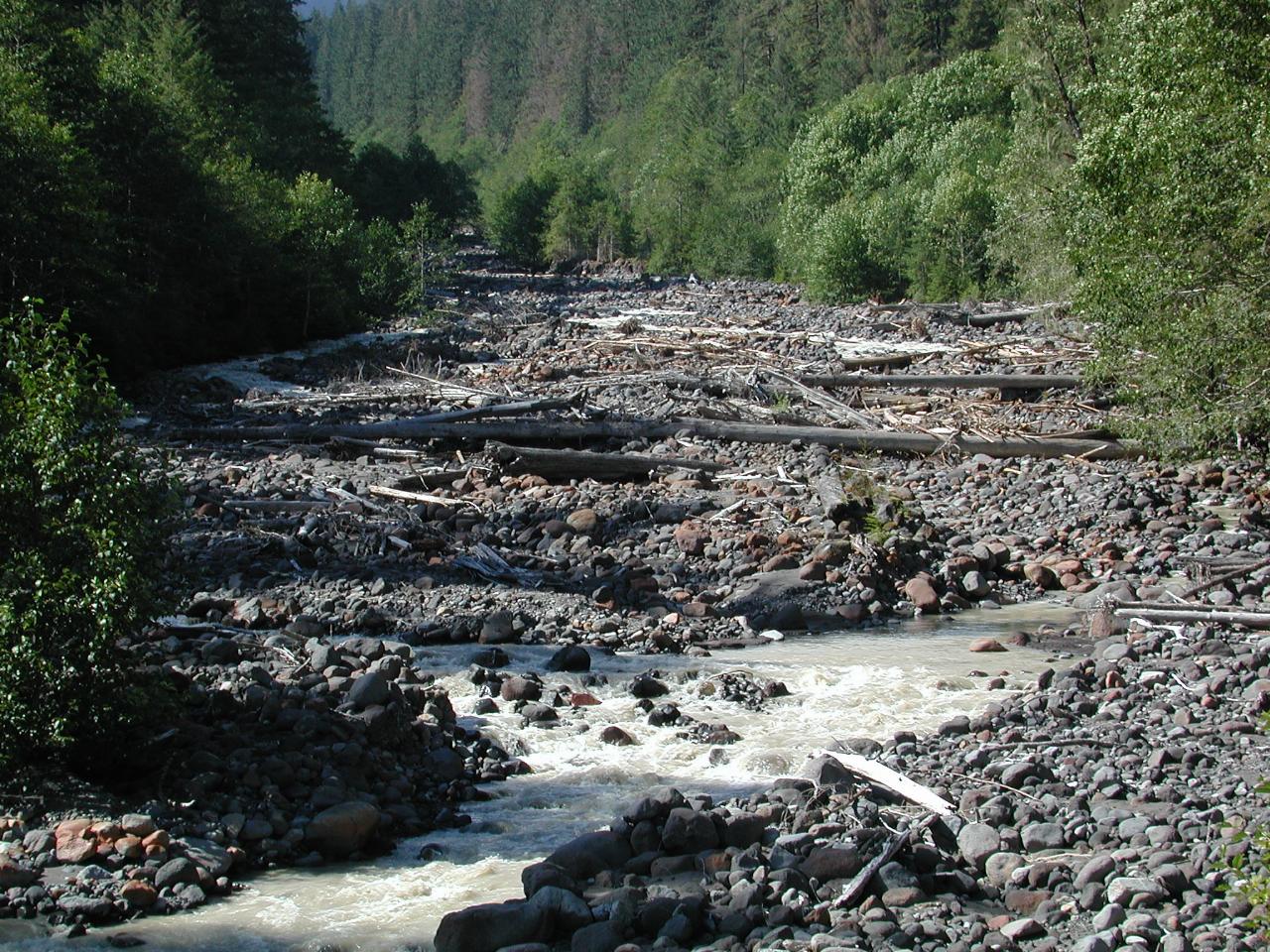 Boulder Creek, showing logs washed down