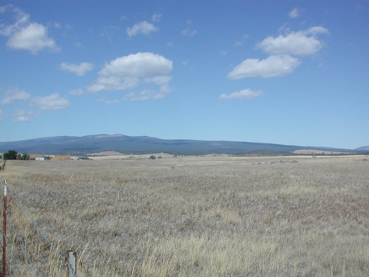 Simcoe Mountains, north of Goldendale, from SR 142.