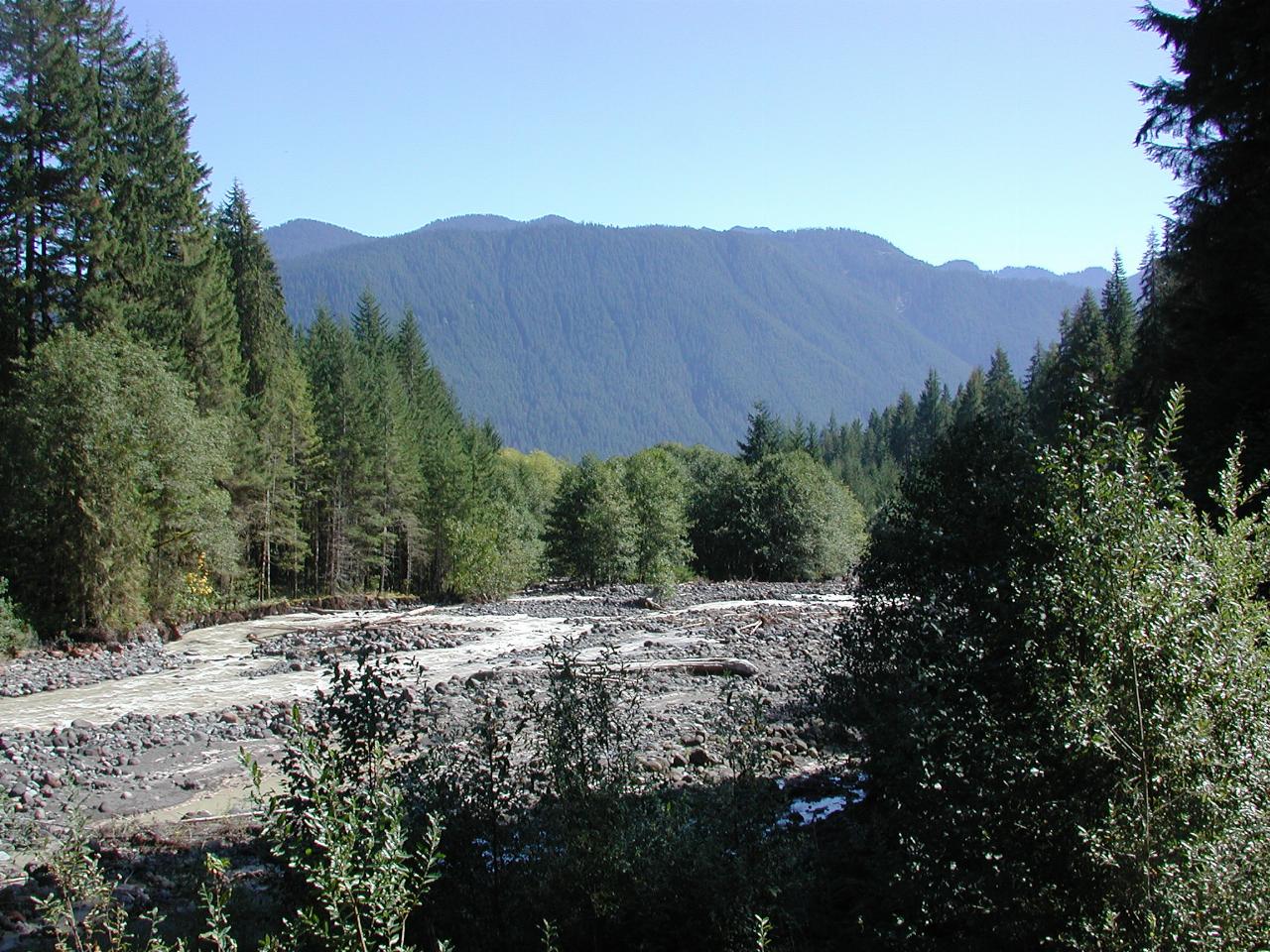 Looking down Boulder Creek on Baker Lake Road