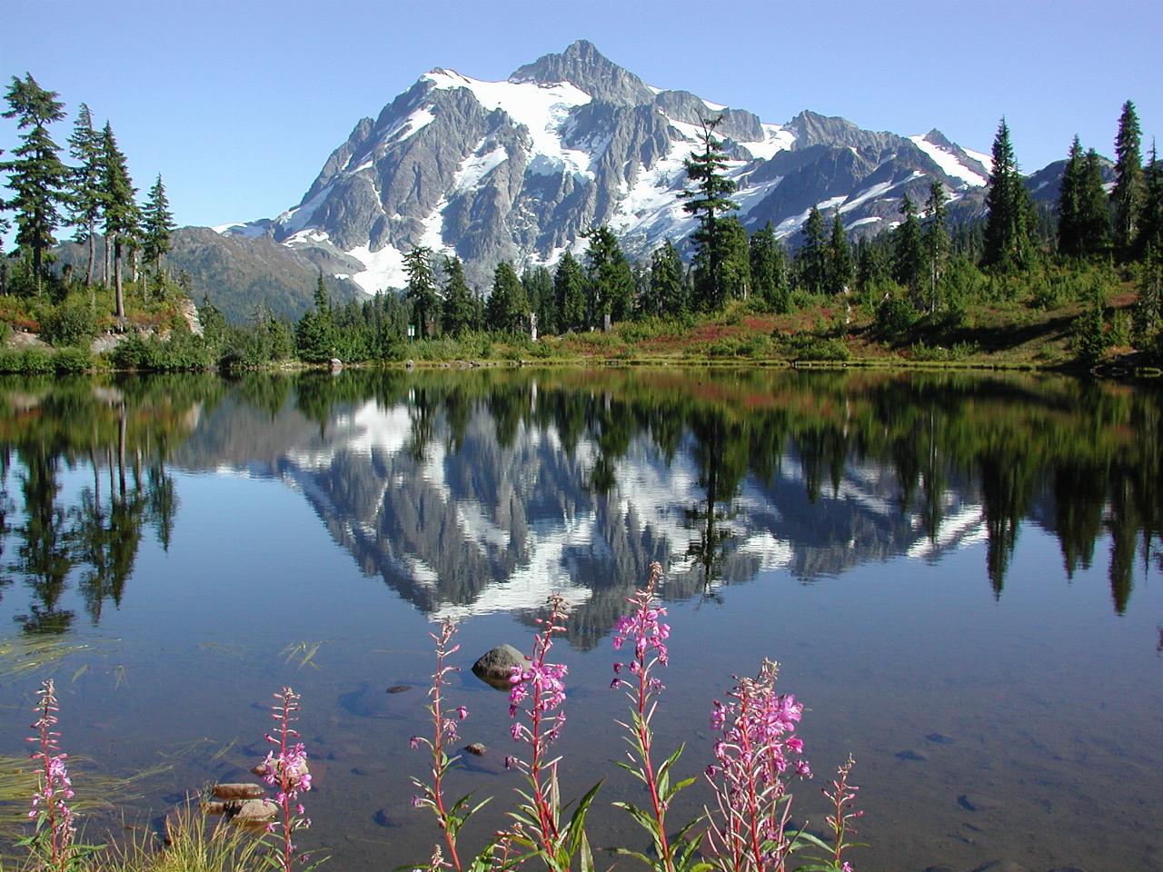 Mt Shuksan reflected in Picture Lake