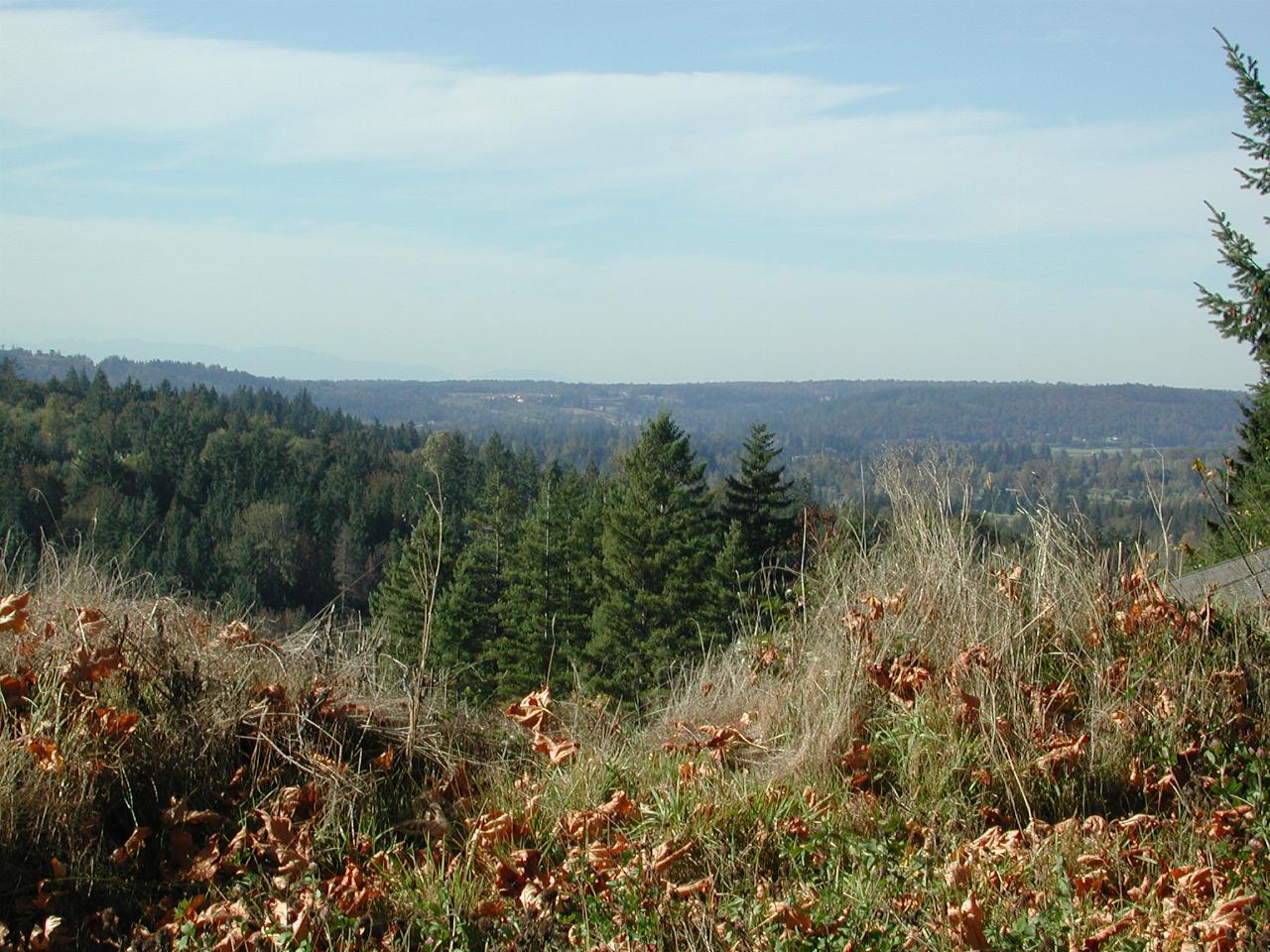 Looking down Snoqualmie Valley from Salish Lodge, Olympic Mountains (?) JUST visible centre left