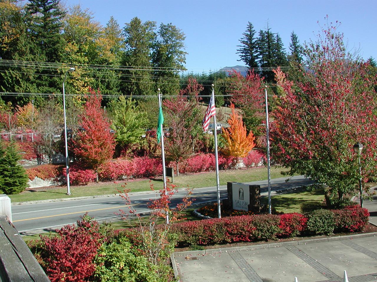 Colourful autumnal foliage at Snoqualmie Falls Visitor Area