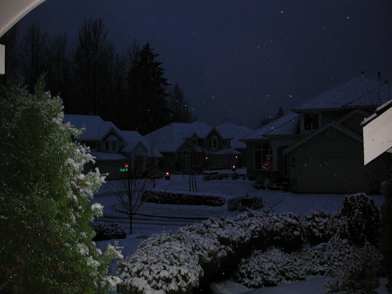 It's White!  View out my front door