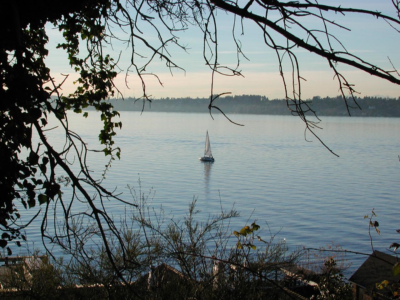 Too calm for sailing; looking roughly west from Kirkland