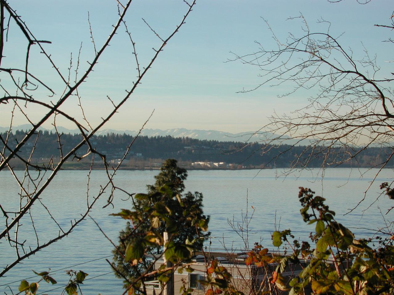 Olympic Mountains, looking NW from Kirkland's Waverly Park