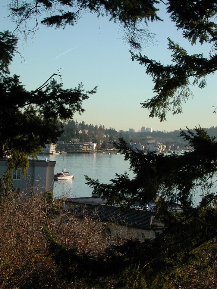 From Waverly Park, looking over maritime Kirkland