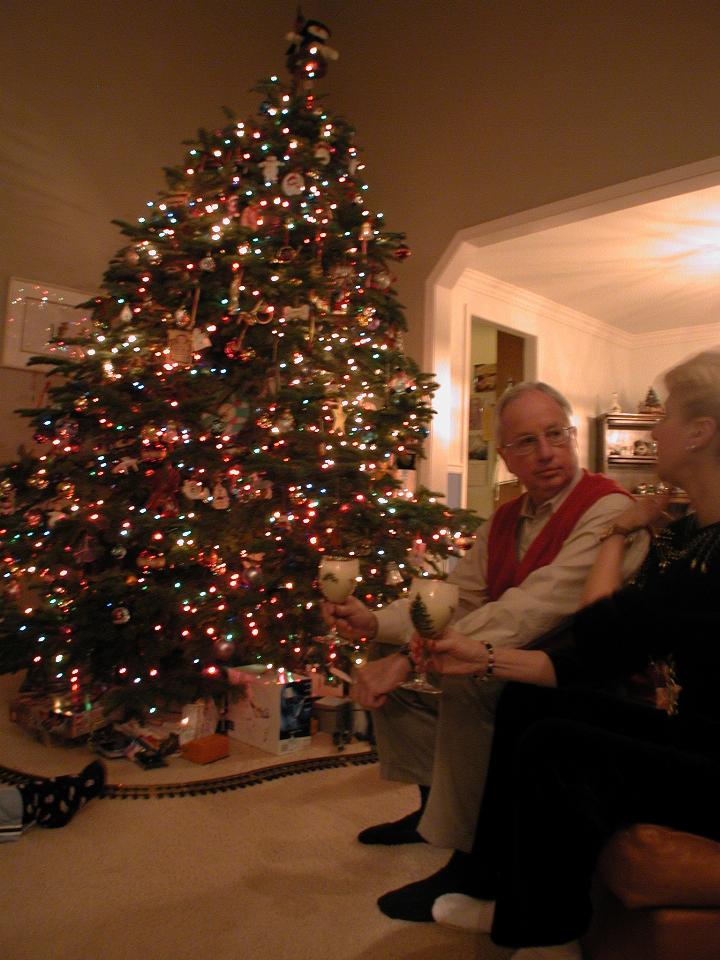 Rick & Patty's Christmas tree, with Bill and Judy