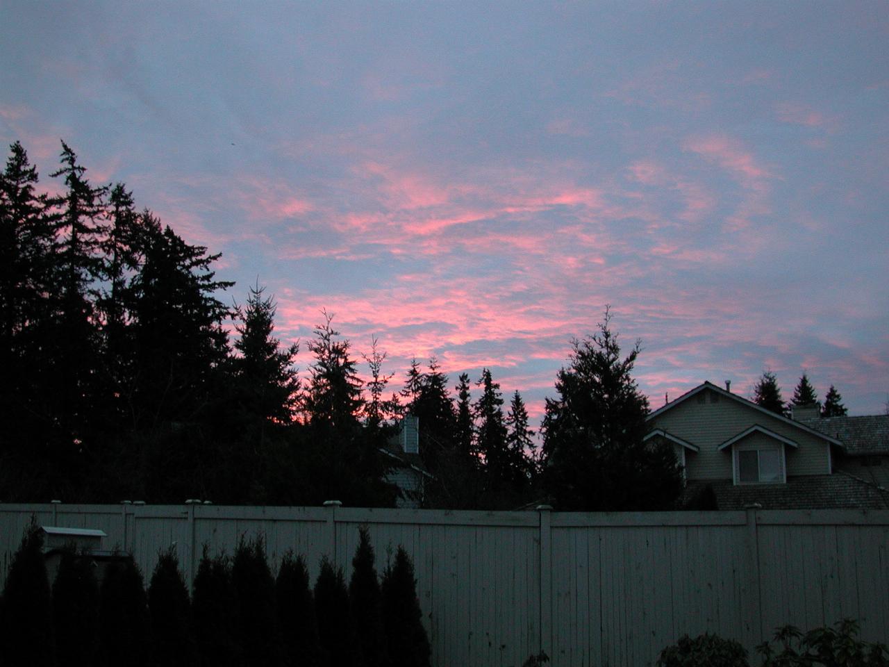 Sunrise on 1 Jan 2002, from my patio.  I missed the best part - this is a pale imitation