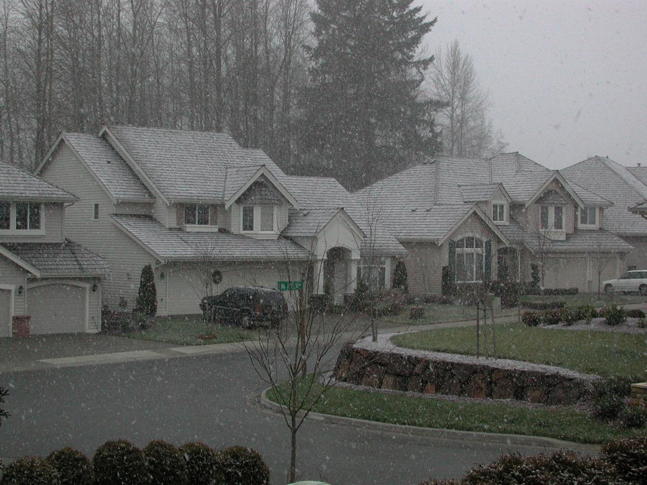 Australia Day in Kenmore, and it's starting to snow (front view)