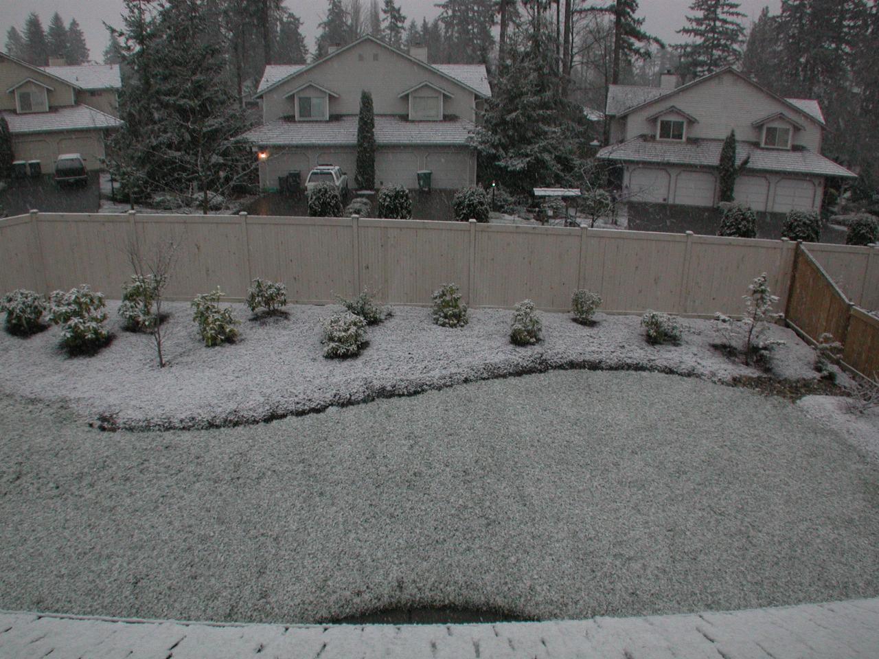 Snow accumulates during the day (back view)