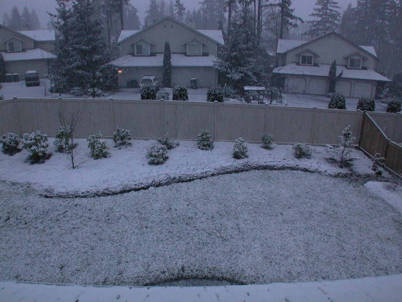 Snow accumulates during the day (back view)