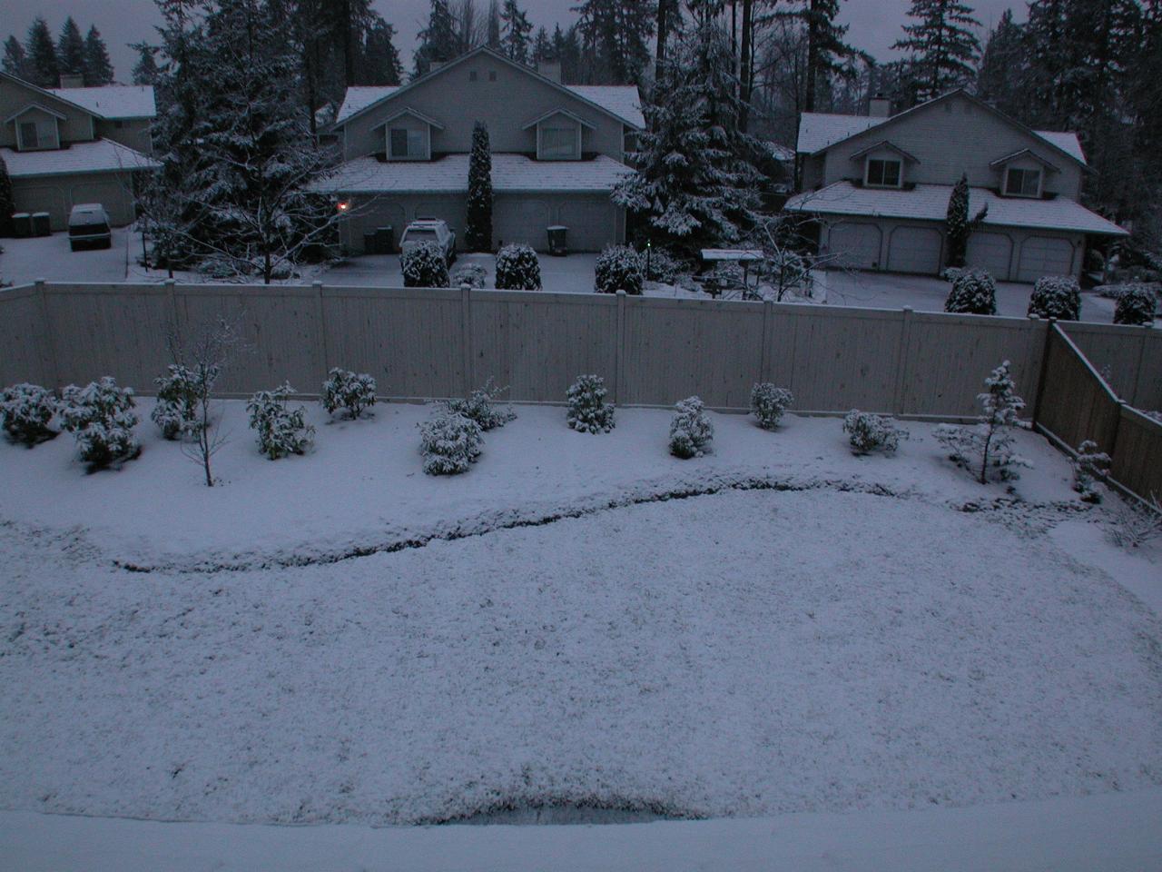 Snow accumulates during the day (back view)