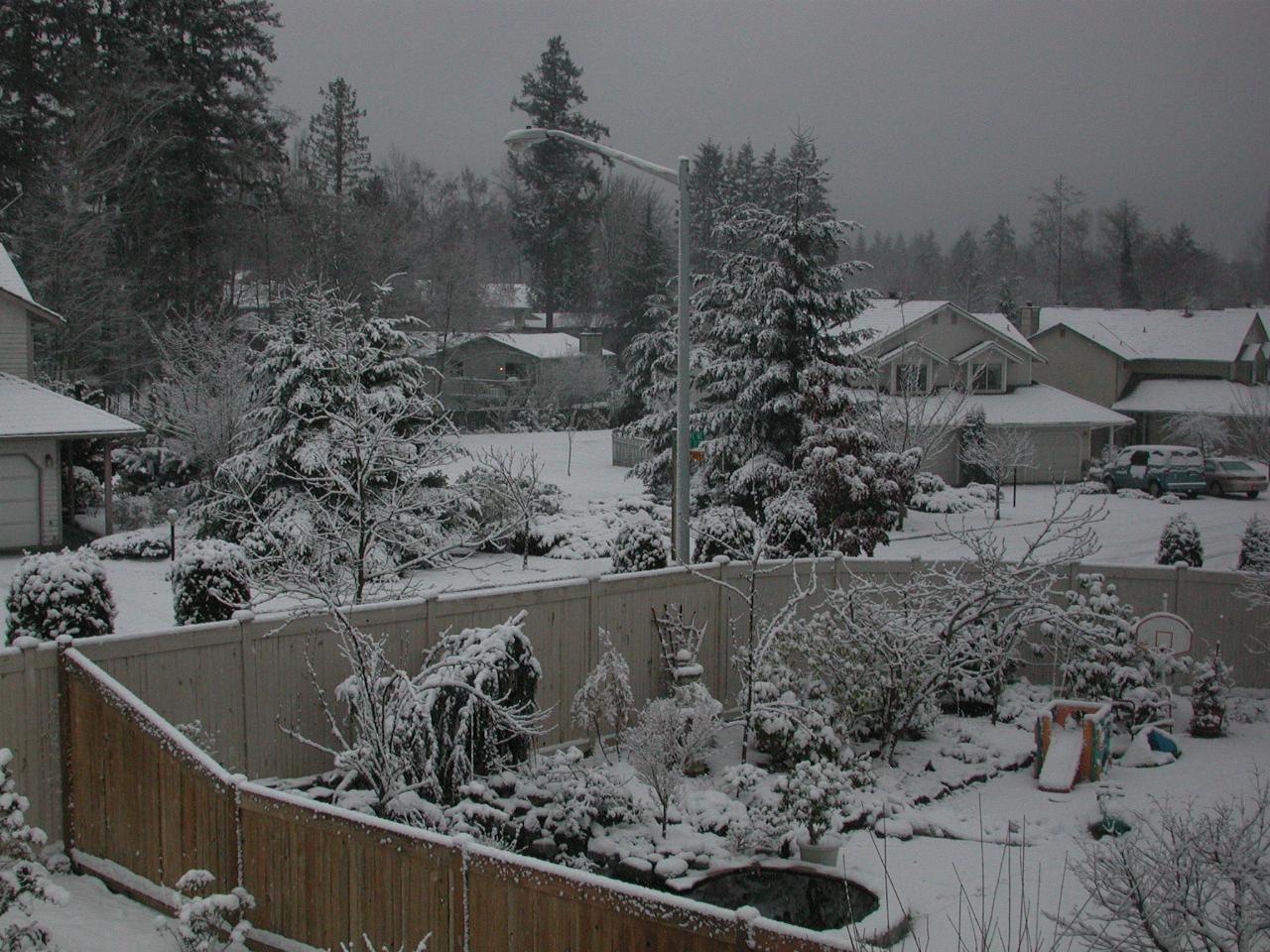 Looking south west from my bedroom window