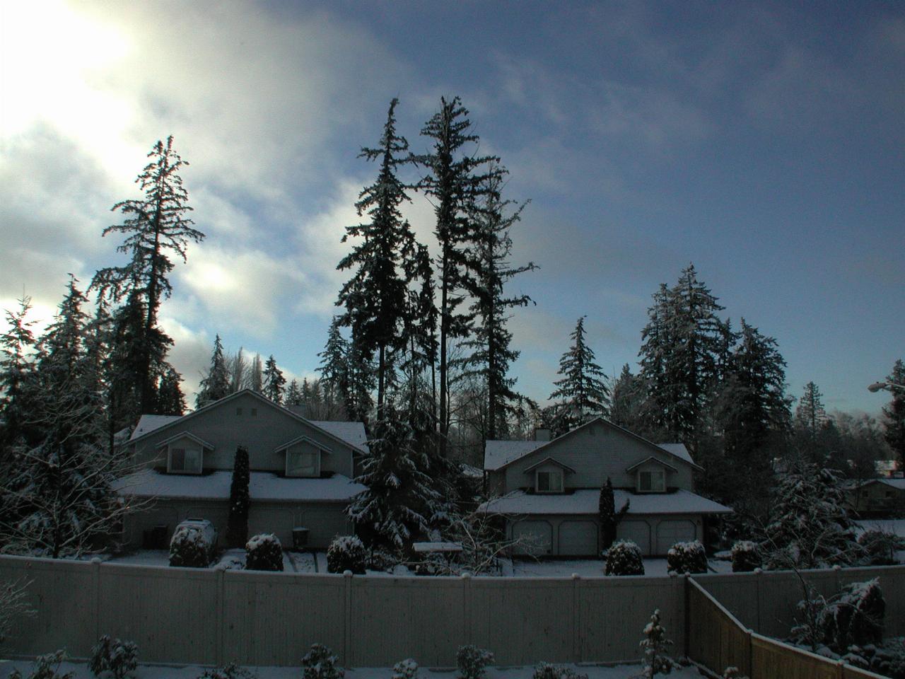 The bedroom window view - looking south