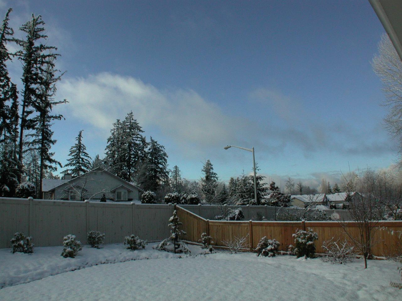 Ground level views around back yard