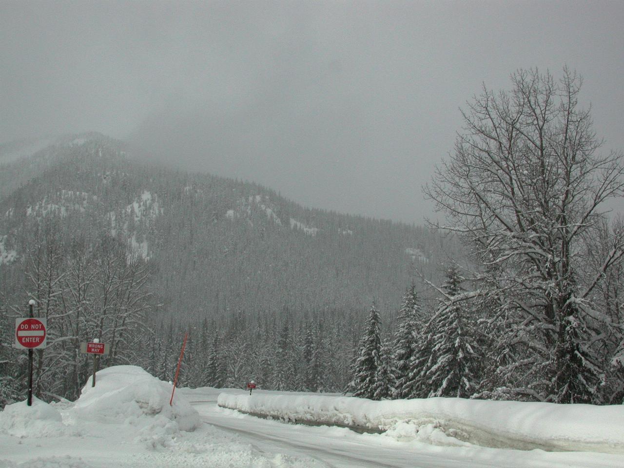 Eastern end of Stevens Pass, at Nordic Ski Centre entrance