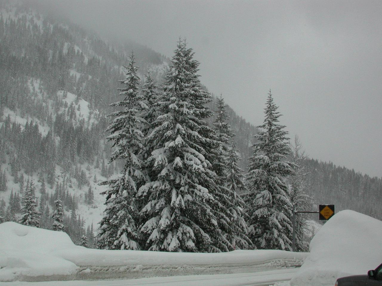 Eastern end of Stevens Pass, at Nordic Ski Centre entrance