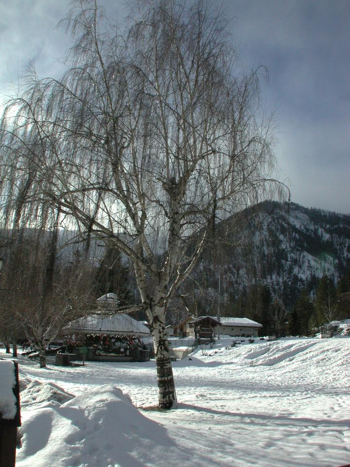 Leavenworth in snow