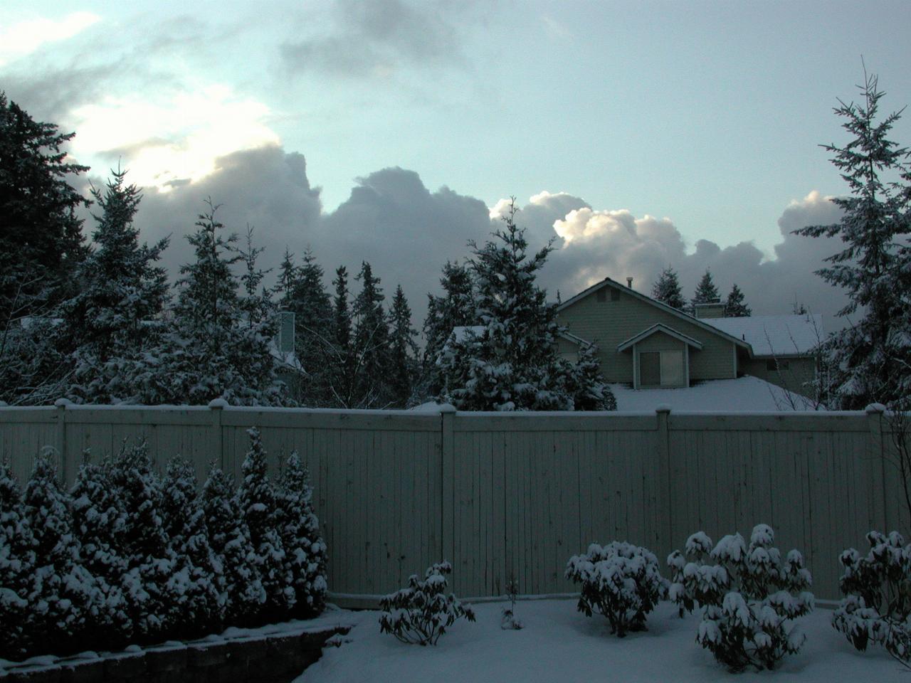 Snow fall on March 9th - looking SE from patio in Kenmore