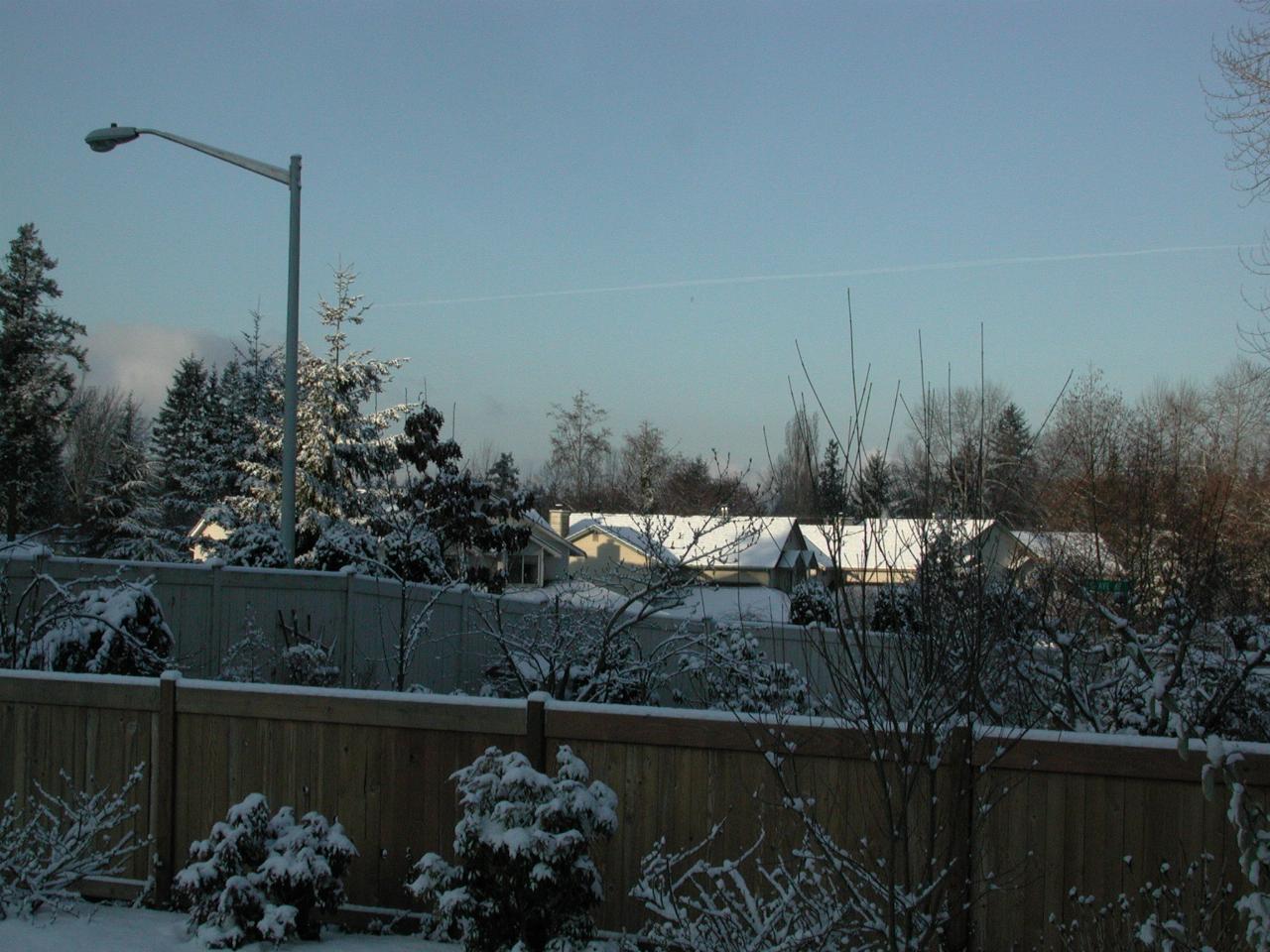 Snow fall on March 9th - looking SW from patio in Kenmore