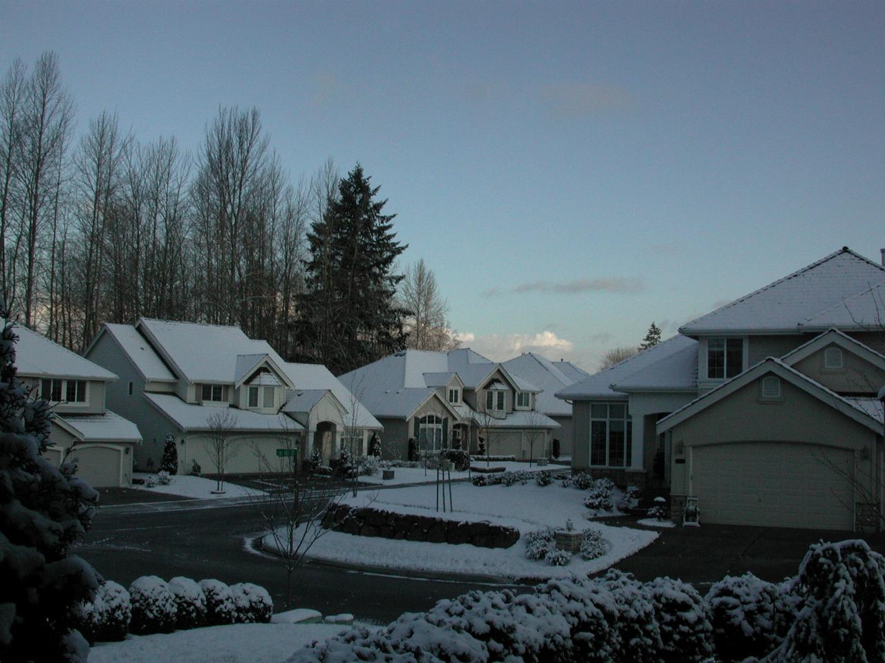 Looking NW out the front door