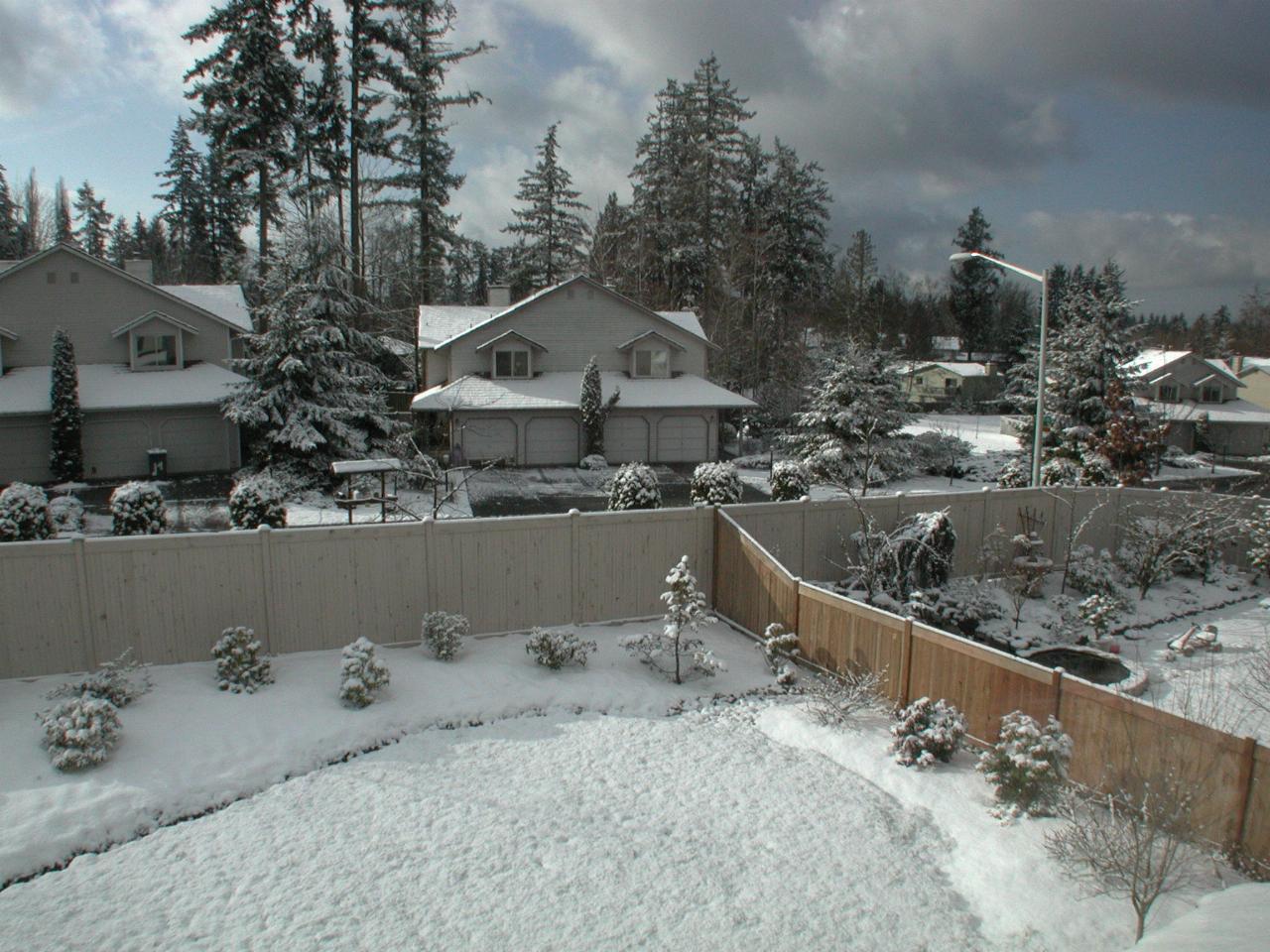 Looking SSW, with sunlit neighbourhood