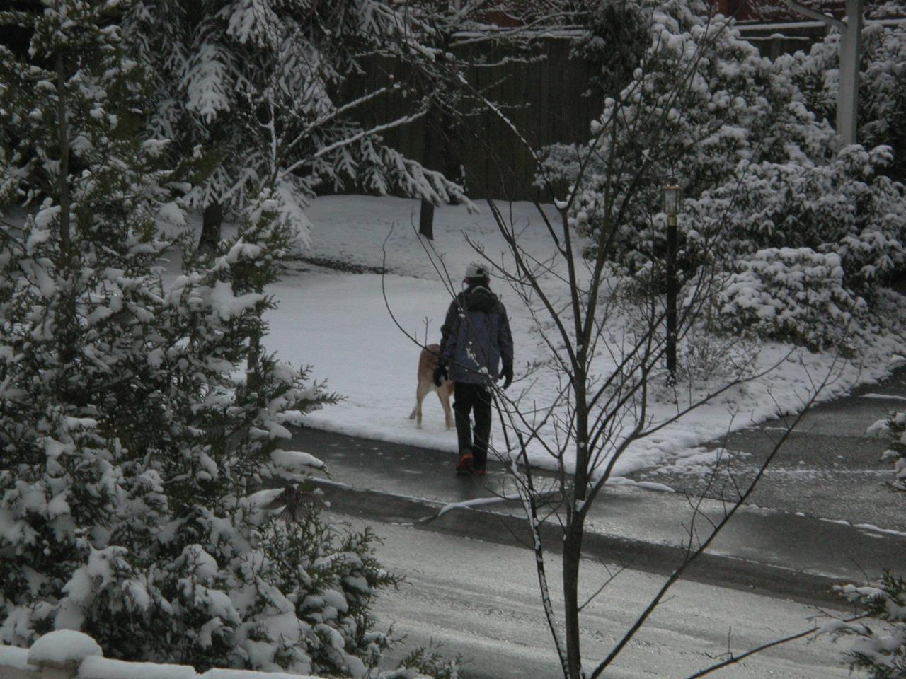 Taking the dog for a walk