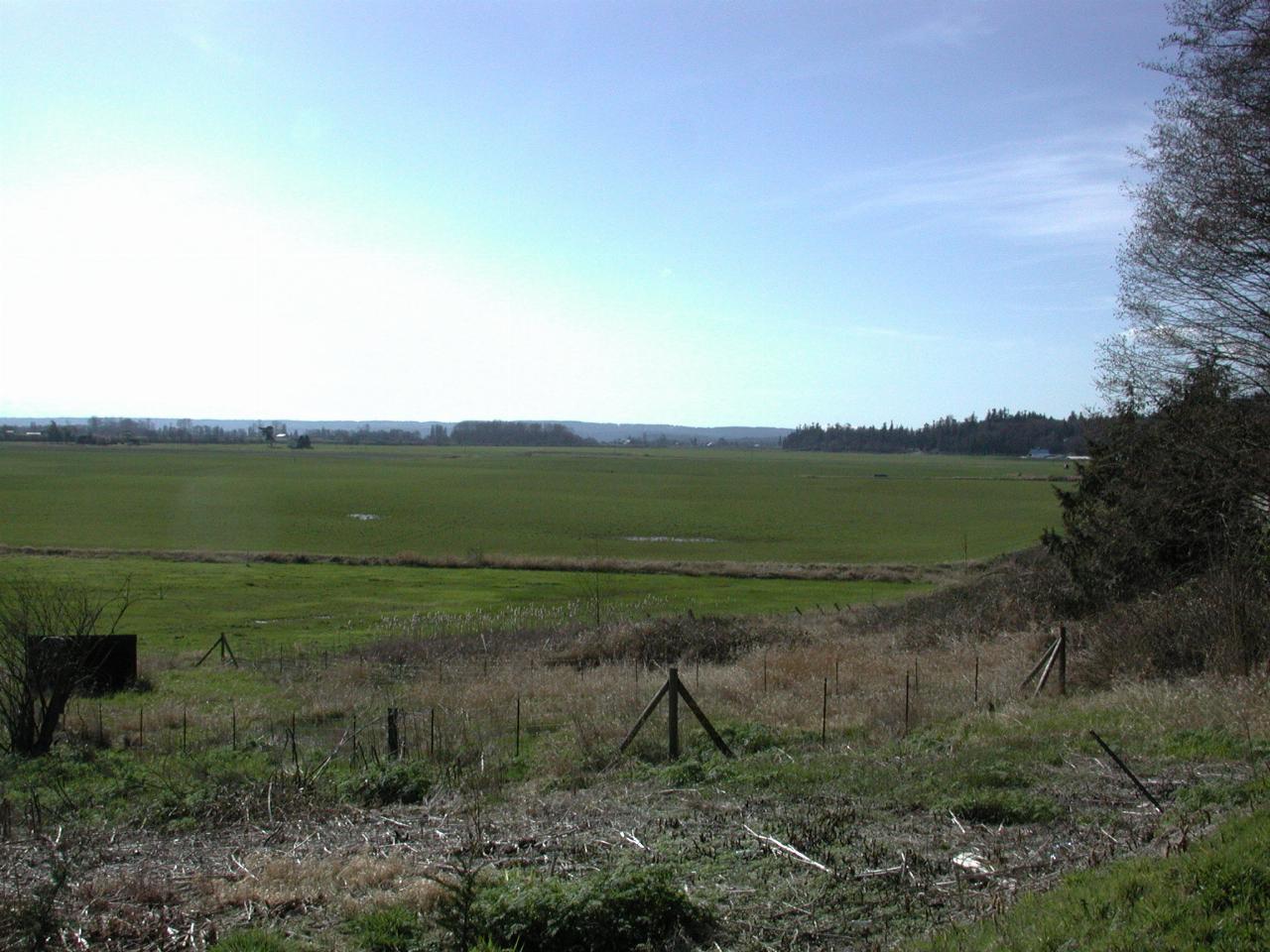 Near Silvana, the very green fields after all the rain