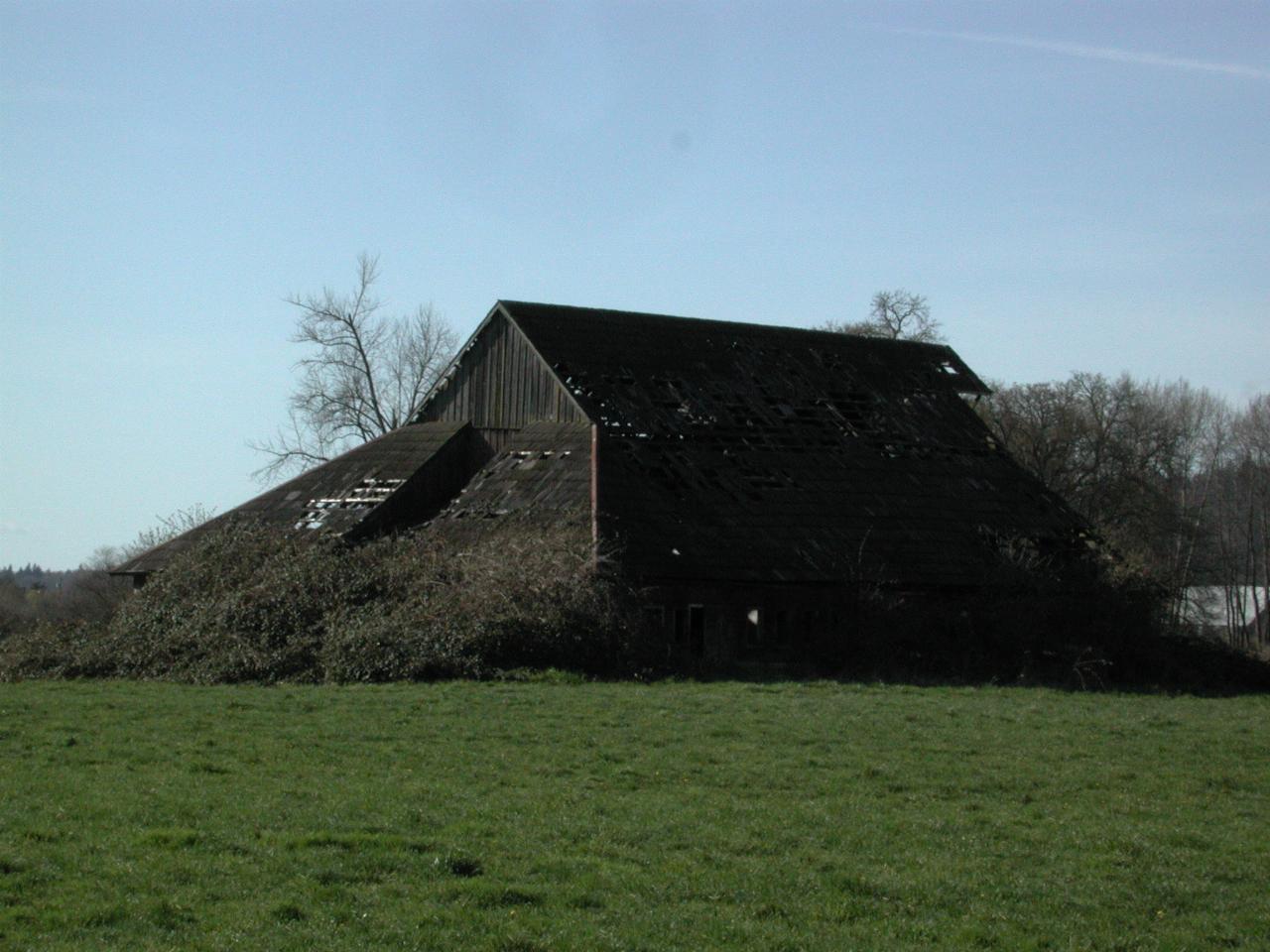 An old barn, slowly decaying away on the outskirts of Silvana