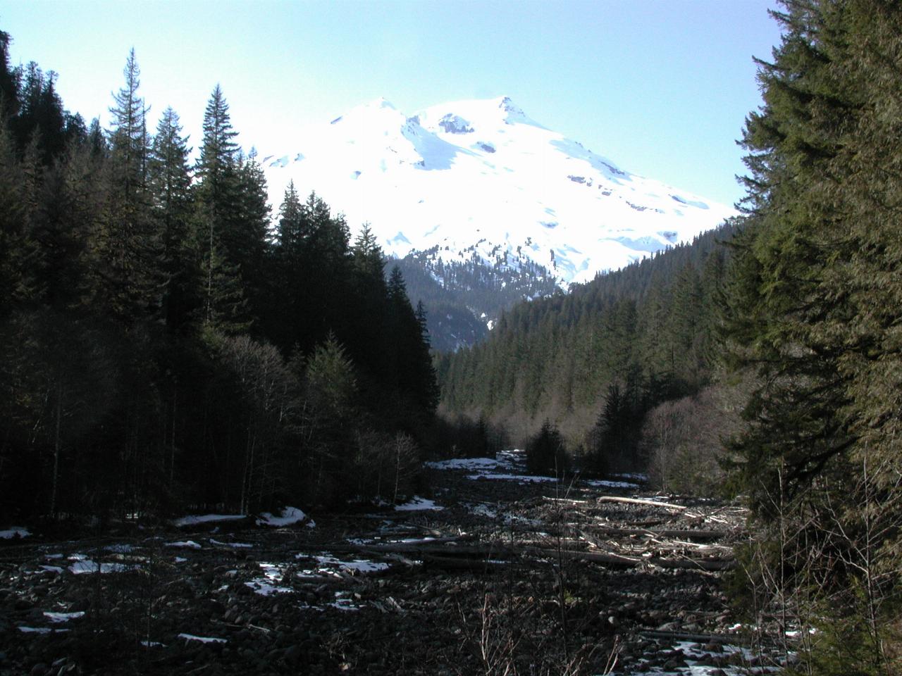 Mt. Baker, seen from Boulder Creek