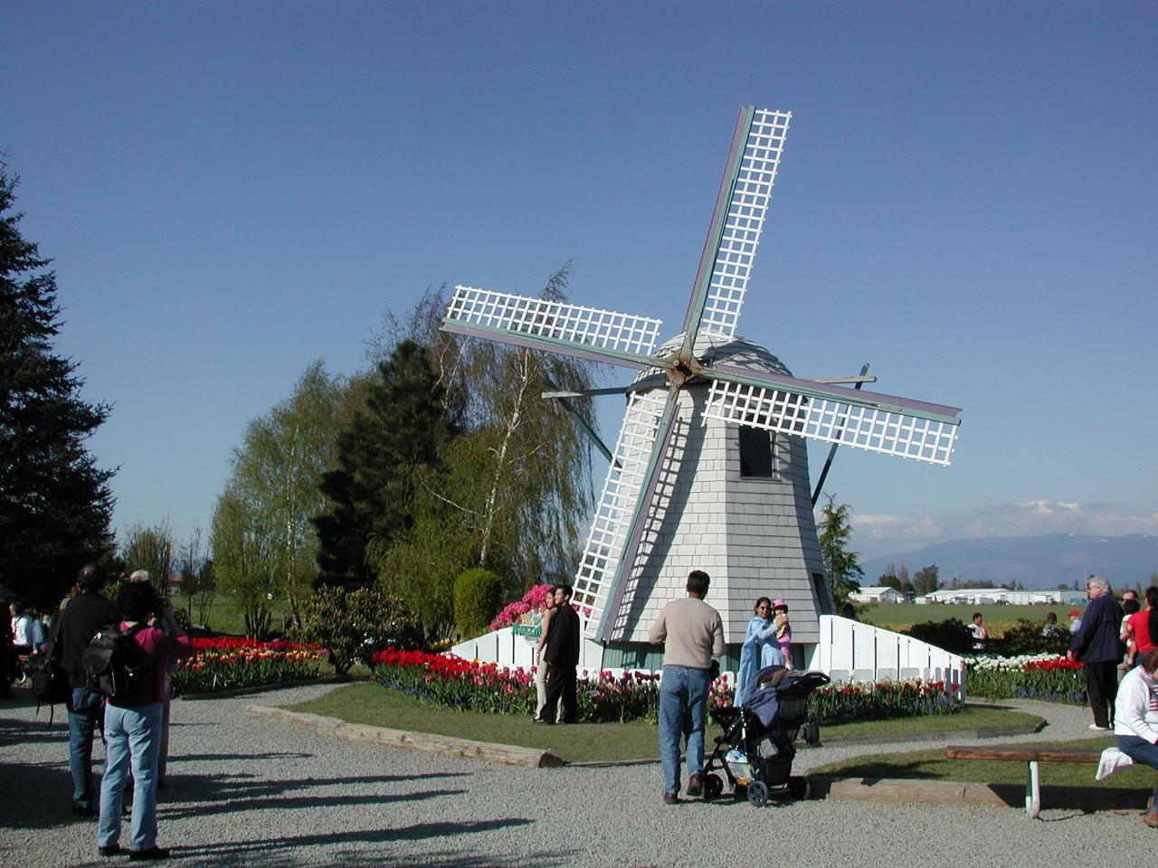 Skagit Valley Tulip Festival - RoozenGaarde