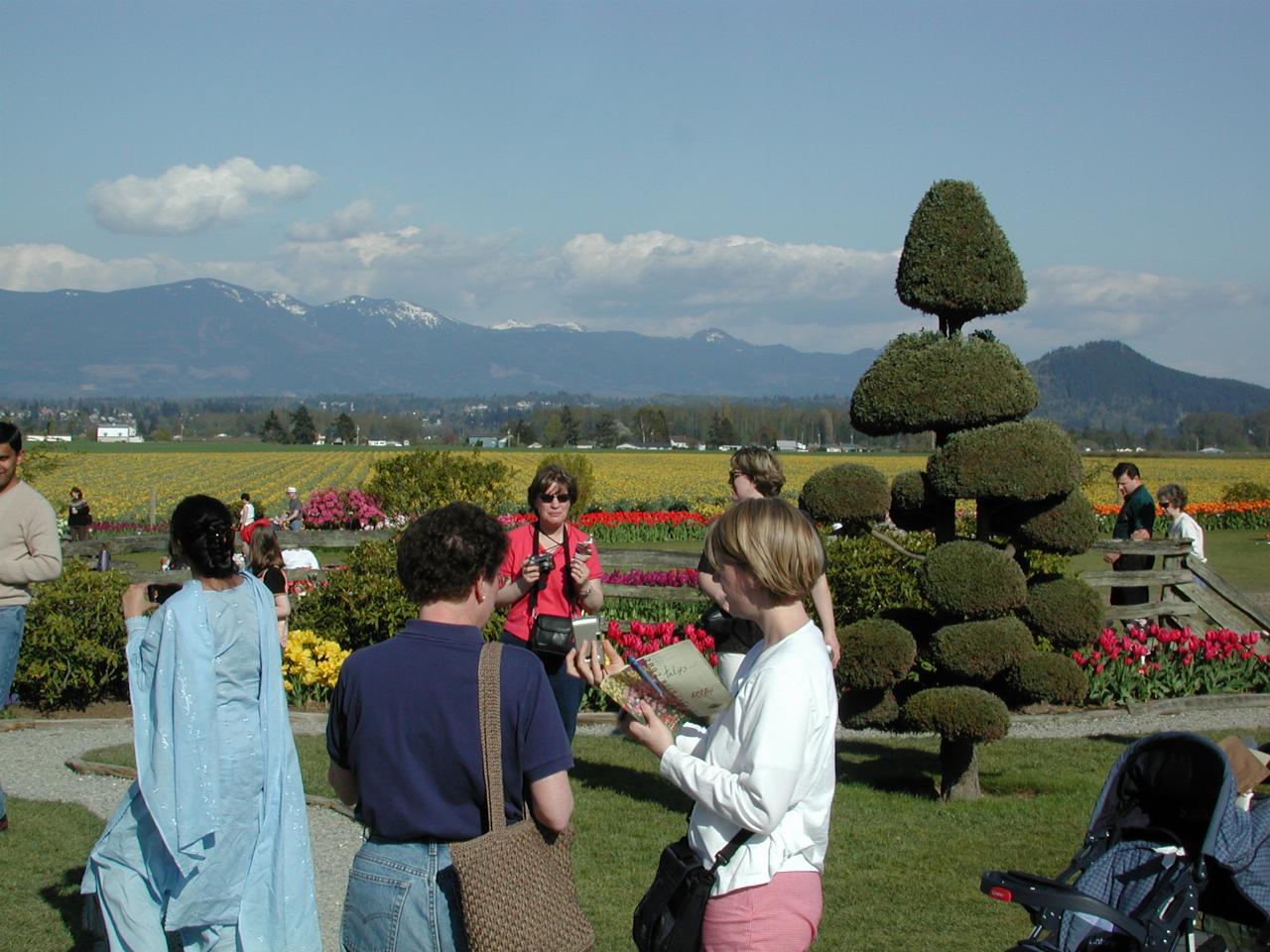 Skagit Valley Tulip Festival - RoozenGaarde