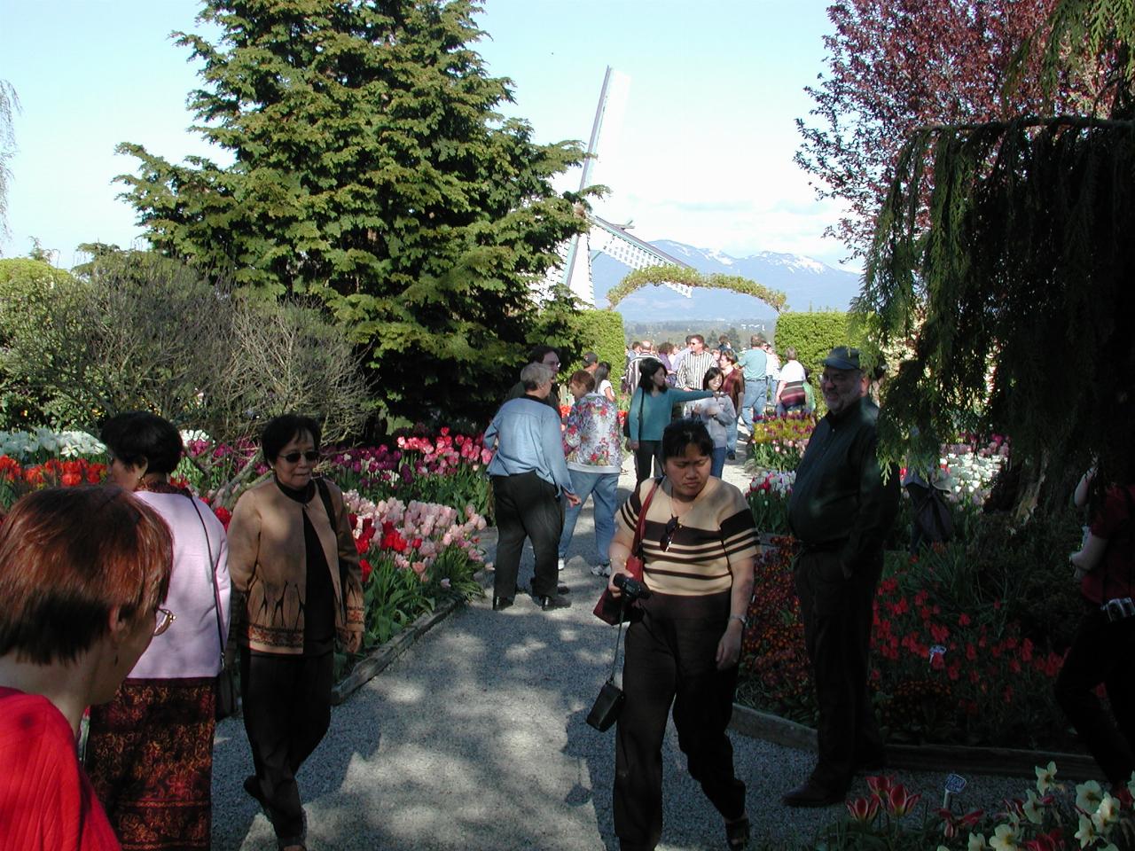 Skagit Valley Tulip Festival - RoozenGaarde